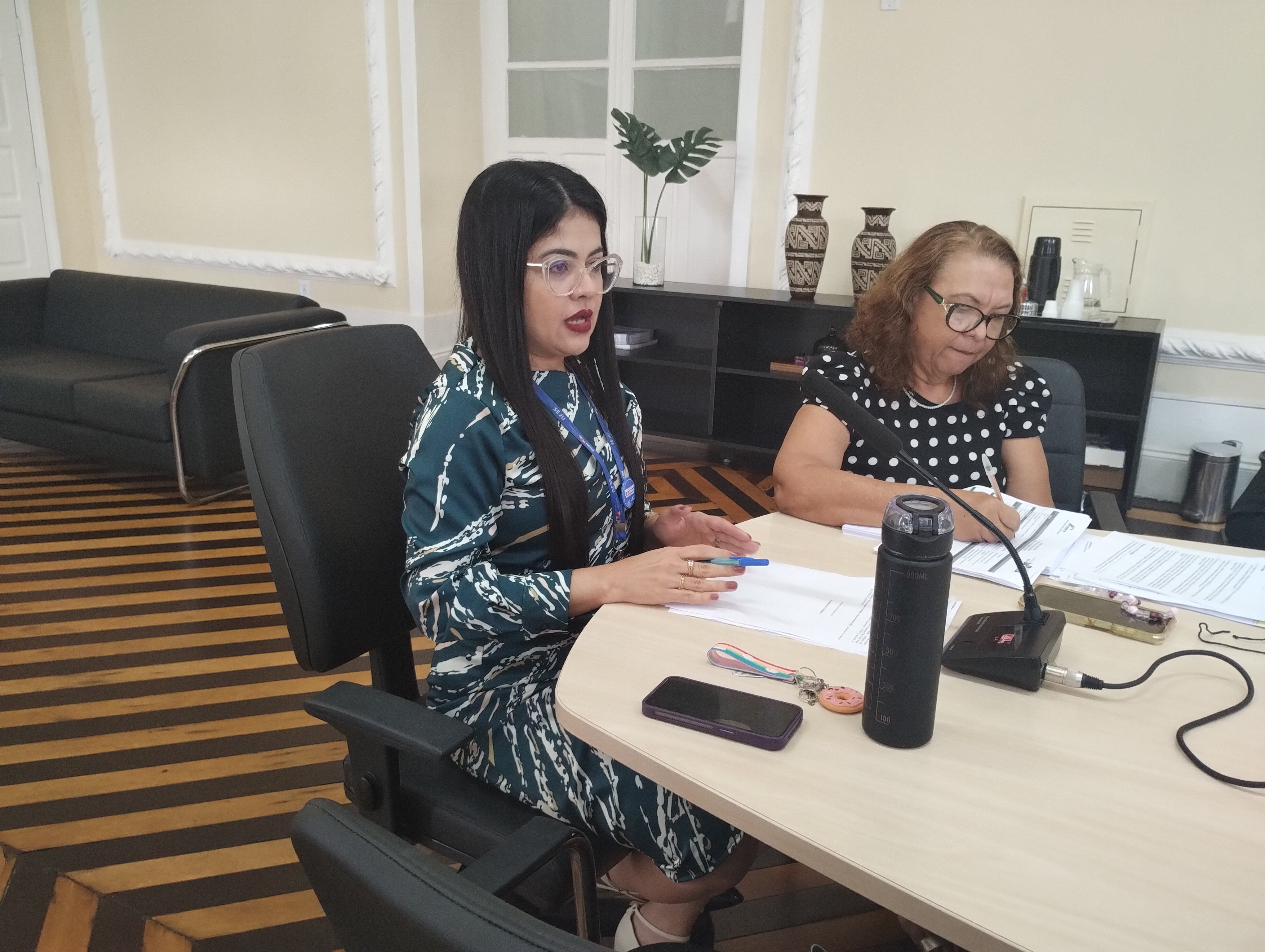 Renata Hage, 2ª vice presidente do Coned